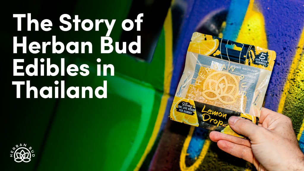 The story of Herban Bud Edibles in Thailand