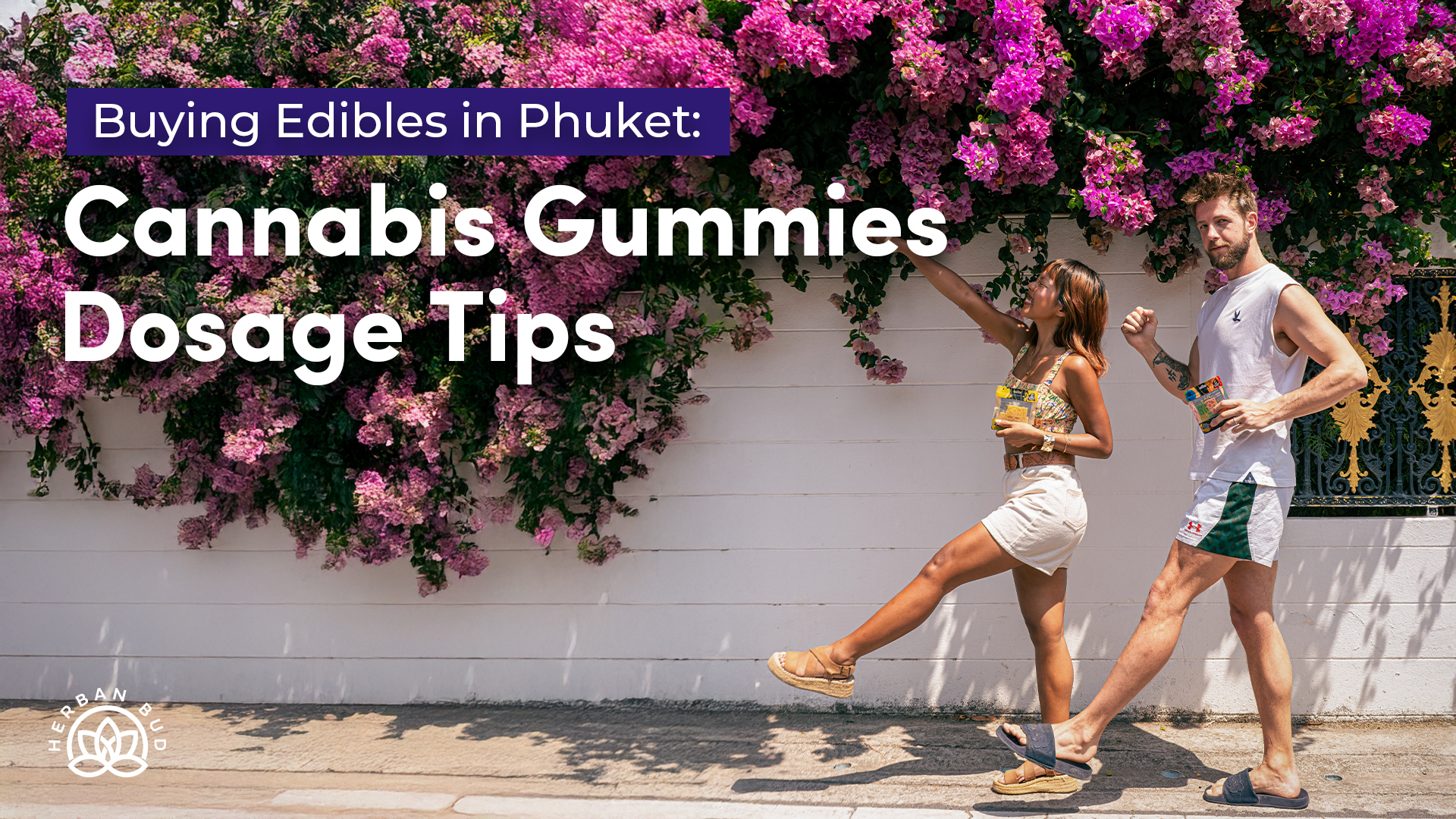 Edibles in Phuket Cannabis Gummies Dosage Tips