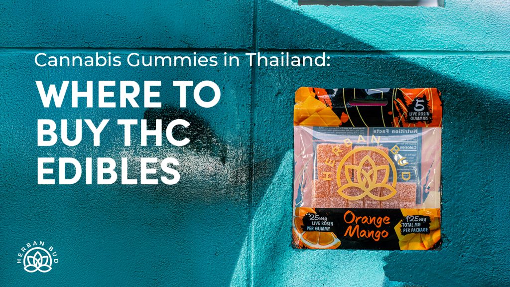 Cannabis Gummies in Thailand: Where to Buy THC Edibles
