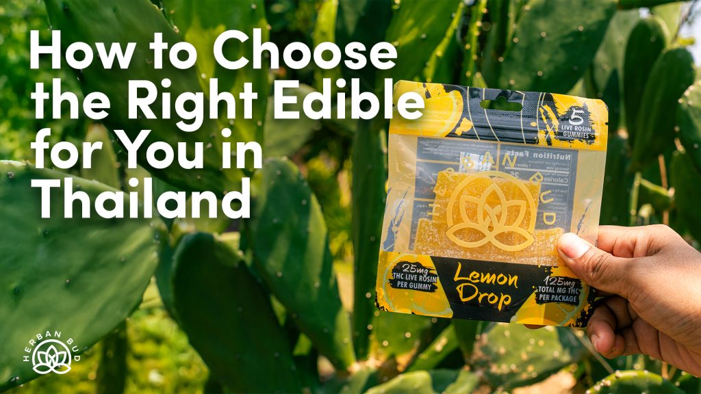 How to choose the right edible for you in Thailand