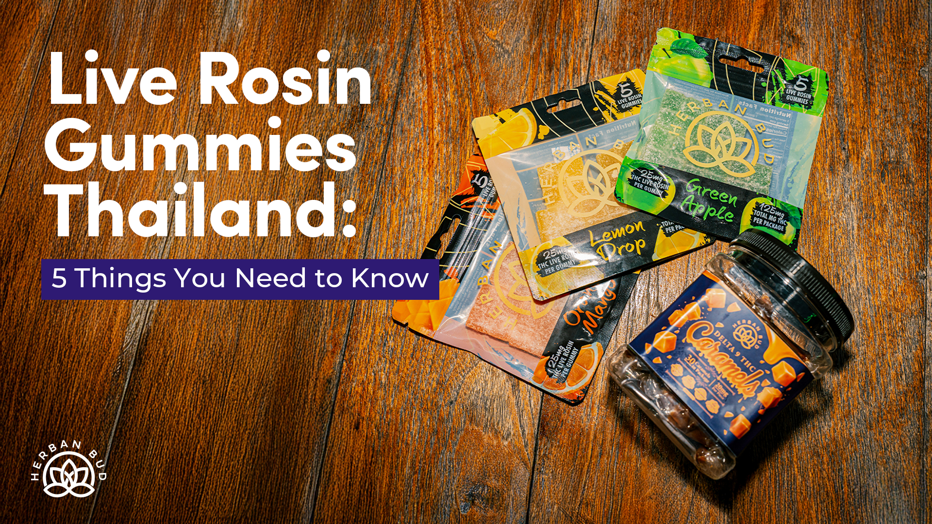 Read more about the article Live Rosin Gummies Thailand: 5 Things You Need to Know