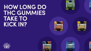 How Long do THC Gummies take to Kick in?