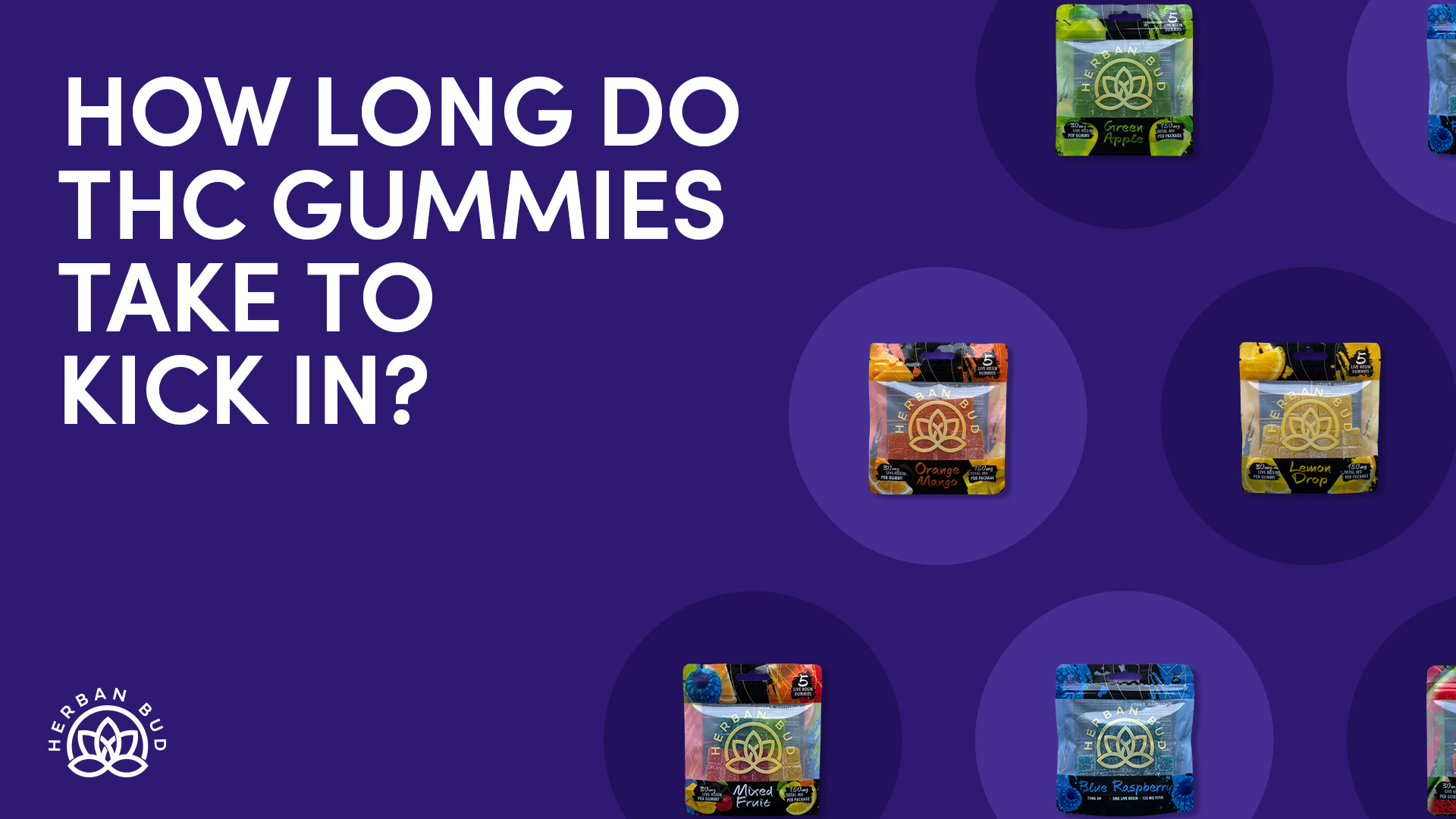 Read more about the article How Long Do THC Gummies Take to Kick In? (Onset & Duration Explained)